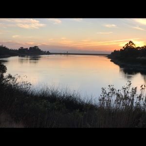 Meet your Posher, Eileen